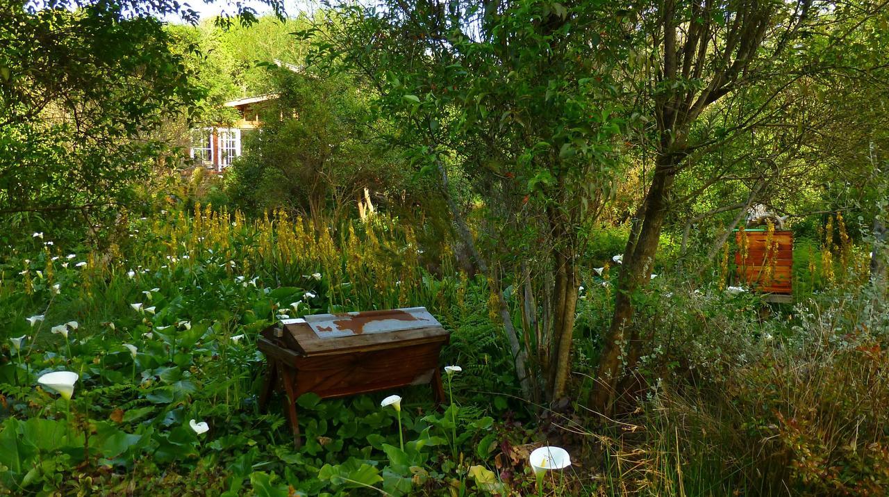 Boutique Vintage Forest Cabin Stormsrivier Esterno foto