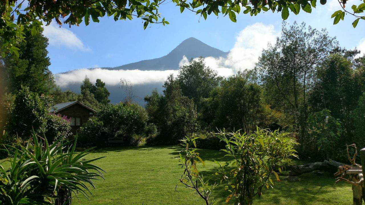 Boutique Vintage Forest Cabin Stormsrivier Esterno foto