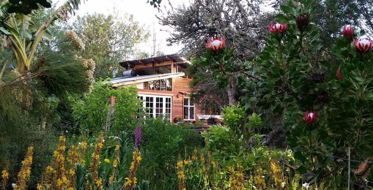 Boutique Vintage Forest Cabin Stormsrivier Esterno foto