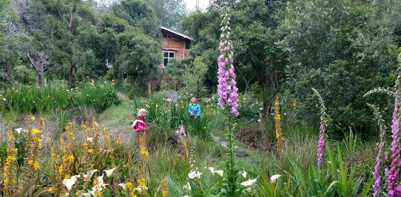 Boutique Vintage Forest Cabin Stormsrivier Esterno foto